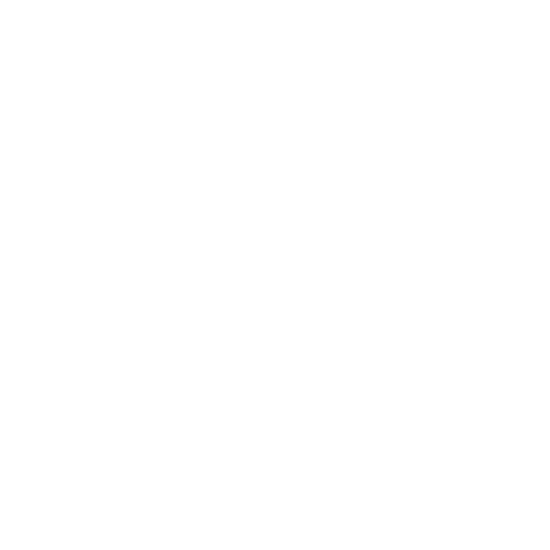 Logo Viva Video